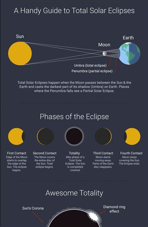 What to expect during the 2024 total solar eclipse
